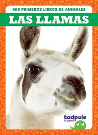 bokomslag Las Llamas (Llamas)