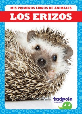 Los Erizos (Hedgehogs) 1