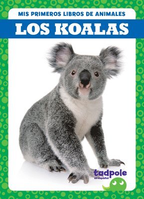 Los Koalas (Koalas) 1