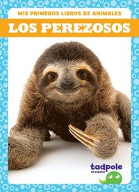 bokomslag Los Perezosos (Sloths)