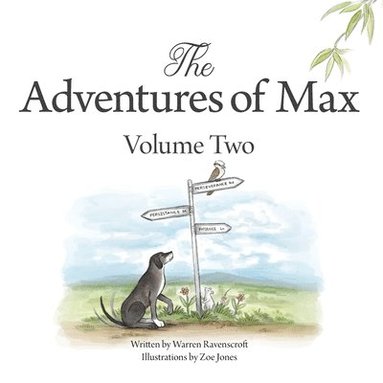 bokomslag The Adventures of Max. Volume Two