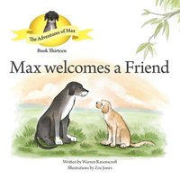 bokomslag Max Meets a Friend