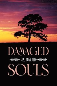 bokomslag Damaged Souls