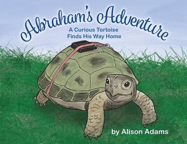 Alison Adams - Abraham's Adventure, Häftad