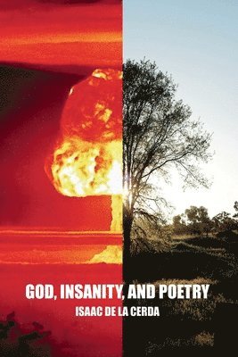 God, Insanity, and Poetry 1