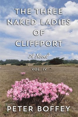 bokomslag The Three Naked Ladies of Cliffport