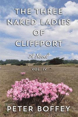 bokomslag Three Naked Ladies of Cliffport
