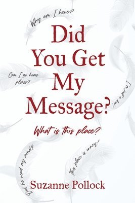 Suzanne Pollock - Did You Get My Message?, Häftad