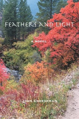 John Cheeseman, JOHN CHEESEMAN - Feathers and Light, Häftad