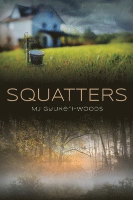 bokomslag Squatters