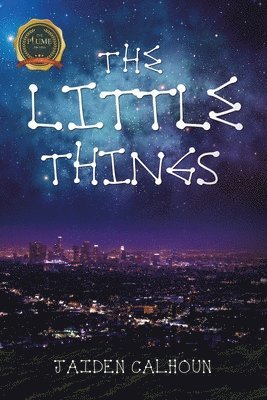 The Little Things 1