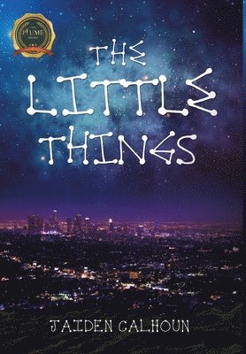 The Little Things 1