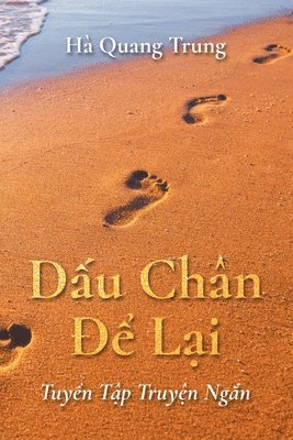 bokomslag D&#7845;u Chan &#272;&#7875; L&#7841;i