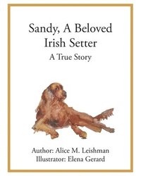 bokomslag Sandy, A Beloved Irish Setter
