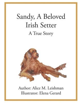 Sandy, A Beloved Irish Setter 1