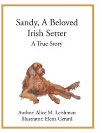 bokomslag Sandy, A Beloved Irish Setter
