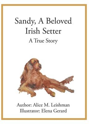 Sandy, A Beloved Irish Setter 1