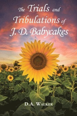 The Trials and Tribulations of J.D. Babycakes 1