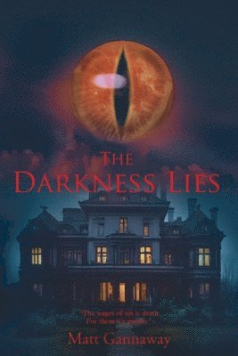 bokomslag Darkness Lies
