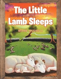 bokomslag Little Lamb Sleeps