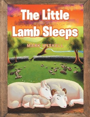 bokomslag Little Lamb Sleeps
