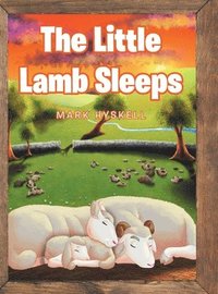 bokomslag Little Lamb Sleeps