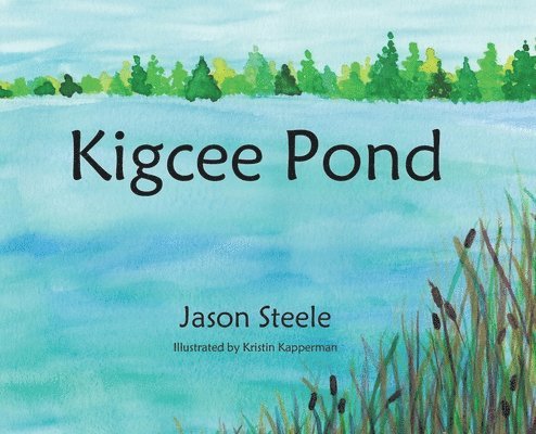 Kigcee Pond 1