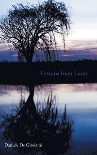 bokomslag Lessons from Lucas