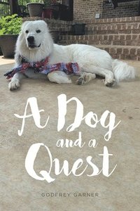 bokomslag A Dog and a Quest