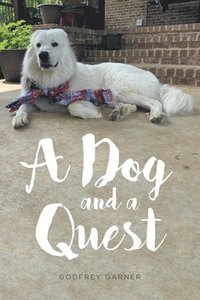 bokomslag Dog and a Quest