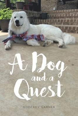 bokomslag Dog and a Quest