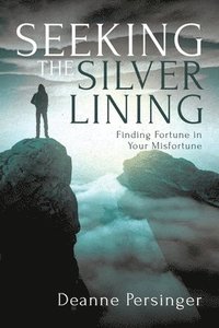 bokomslag Seeking the Silver Lining