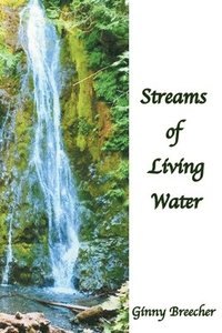 bokomslag Streams of Living Water