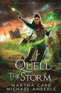 bokomslag Quell the Storm