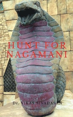 Hunt for Nagamani 1