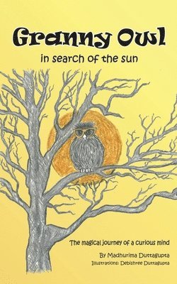 Granny Owl - in search of the sun 1