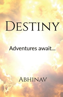 bokomslag Destiny