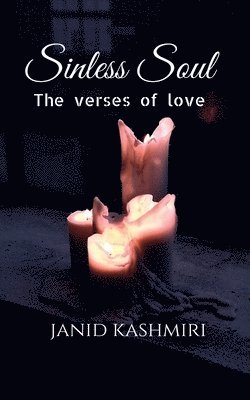 bokomslag Sinless Soul
