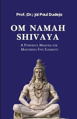 Om Namah Shivaya 1