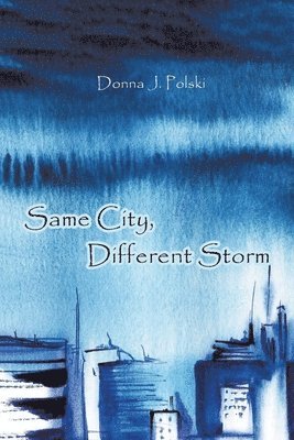 bokomslag Same City, Different Storm