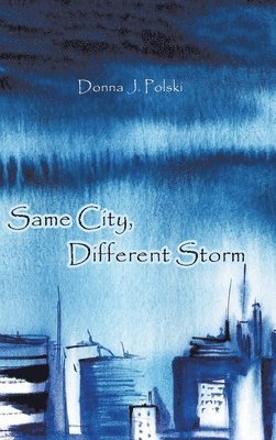 Same City, Different Storm 1