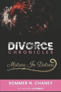 bokomslag Divorce Chronicles