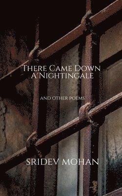 bokomslag There Came Down A Nightingale and other poems