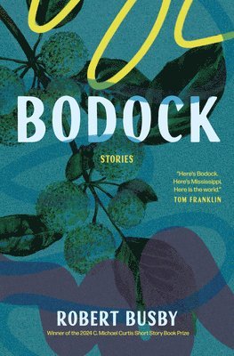 bokomslag Bodock: Stories