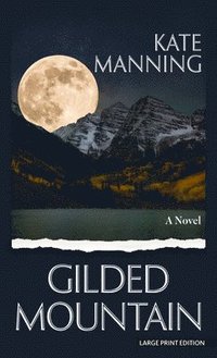 bokomslag Gilded Mountain