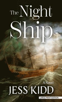 bokomslag The Night Ship