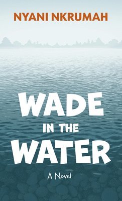 bokomslag Wade in the Water