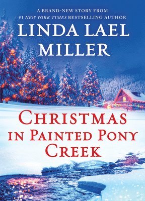 bokomslag Christmas in Painted Pony Creek