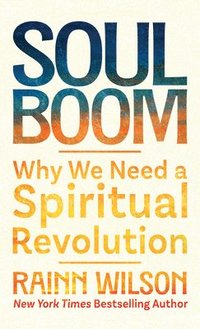 bokomslag Soul Boom