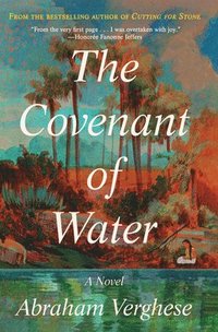 bokomslag The Covenant of Water
